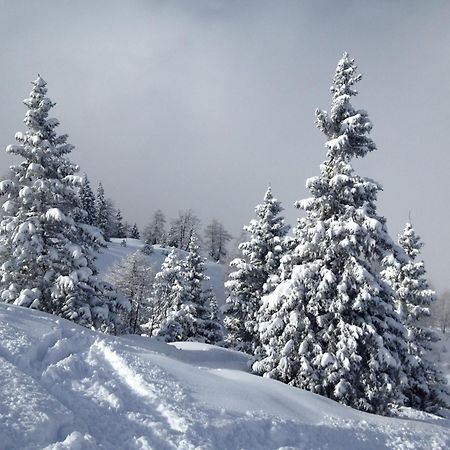 Hotel Lory - Molveno - Dolomiti ภายนอก รูปภาพ