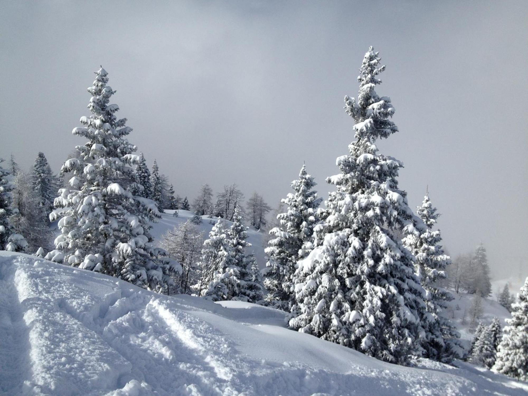 Hotel Lory - Molveno - Dolomiti ภายนอก รูปภาพ